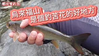 【溪釣苦花】烏來福山是個釣苦花的好地方｜蝦皮愛釣魚