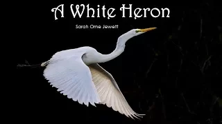 Learn English Through Story - A White Heron by Sarah Orne Jewett