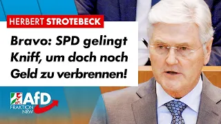 SPD versenkt Steuergelder für Nonsens! – Herbert Strotebeck (AfD)