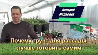 Почему грунт для рассады лучше готовить самим