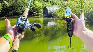 Searching Storm Drain For MUSKY During Fishing Tournament || Figure Eight MUSKIE In The Mountains