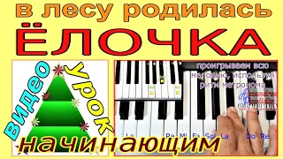 В лесу родилась Ёлочка~лучший УРОК для СИНТЕЗАТОРА 📥 скачать стиль KORG в подарок 🎁 текст и аккорды