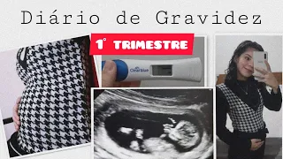 Diário de gravidez: sintomas do primeiro trimestre e primeira ultrassom #diariodegravidez