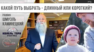 Какой путь выбрать - длинный или короткий? Недельная глава Торы "Пинхас"