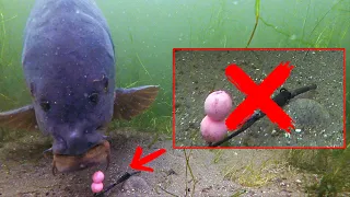 Is it possible to catch carp with a tangled rig?