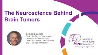 The Brain Connection: The Neuroscience Behind Brain Tumors