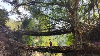 Trek to Double Decker Living Root Bridge, Nongriat Meghalaya