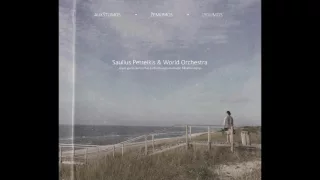 Saulius Petreikis World Orchestra, Full Album 2016 Aukštumos.Žemumos.Lygumos