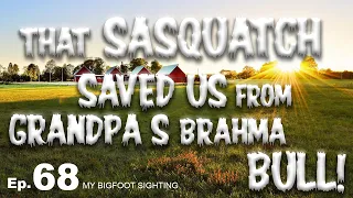 That Sasquatch Saved Us From Grandpa’s Brahma Bull! - My Bigfoot Sighting Episode 68