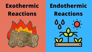 Exothermic vs Endothermic Chemical  Reactions