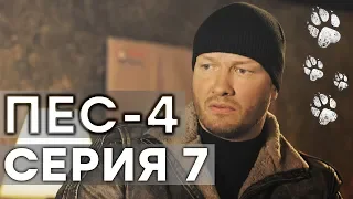 Сериал ПЕС - 4 сезон - 7 серия - ВСЕ СЕРИИ смотреть онлайн | СЕРИАЛЫ ICTV