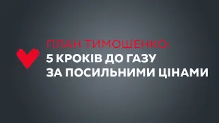 Юлія Тимошенко оприлюднила механізм розв’язання енергетичної кризи