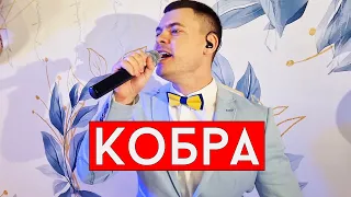 THE HARDKISS feat. MONATIK - Кобра (cover Виталий Лобач)