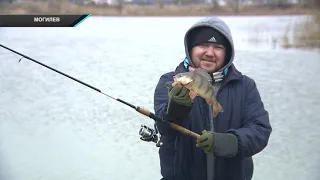 Рыбаки просят спасти затоки Днепра в Могилеве [БЕЛАРУСЬ 4| Могилев]