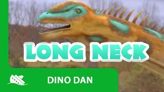 Dino Dan | Best of - Long Neck Dinosaurs