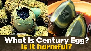 What is Century egg? Is it safe to eat? Eggs side effects. Eggs health benefits. Health. Fitness