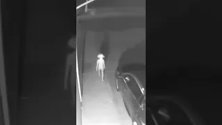 Creepy Dobby Creature Still A Mystery?!