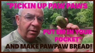 Paw Paw Bread....Any Count??