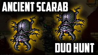 ANCIENT SCARAB DUO HUNT - EK 35 AND ED 40 - BEST places to hunt for KNIGHTS