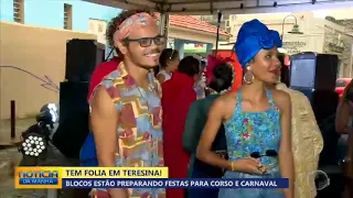 Blocos estão preparando festas para Corso e carnaval de Teresina