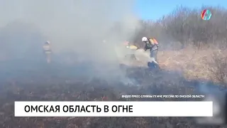 Омская область в огне