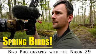 Bird Photography: Photographing Warblers and other Spring birds with the Nikon Z9