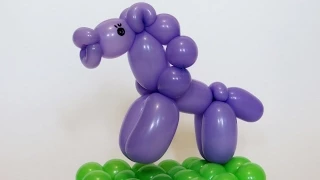 One balloon classic horse - twisting tutorial (Subtitles)