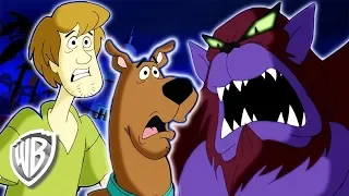 Scooby-Doo! en Français | Comment attraper un Chupacabra | WB Kids