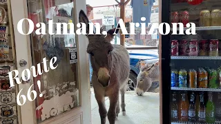 Donkeys have taken over this town! Oatman Arizona on Historic Route 66 |