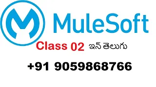 Mulesoft Class 02  recorded video in telugu on 6th july 2021