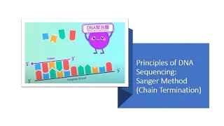 DNA Sequencing: Sanger method