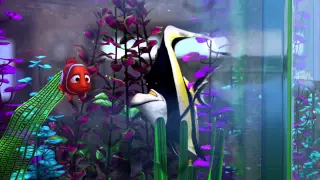 В поисках Немо | Finding Nemo | Грот - Новенький