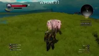 The Witcher 3 - WHAT?! 2 HEADED UNICORN??? (blood and wine DLC)