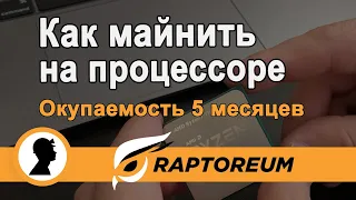 Как майнить на процессоре. Майнинг Raptoreum. Майнинг на процессоре. Пошаговая инструкция.