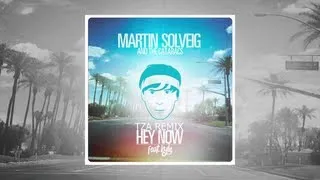 Martin Solveig & The Cataracs - Hey Now (Tza Remix) Ft.Kyle