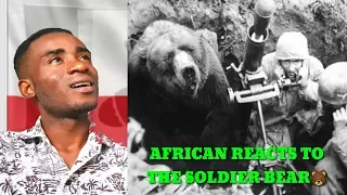 African reacts to Polish History - "The Heart Melting Story Of Wojtek, The Soldier Bear 🐻