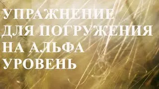 Альфа уровень - упражнение для погружения сознания по методу Сильва