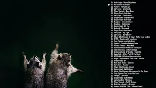 A Funky Alt Indie/Playlist with a picture of racoons