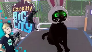 Little Kitty, Big City Gameplay Demo - Move Over, Stray, There's a New Cat Game In Town!