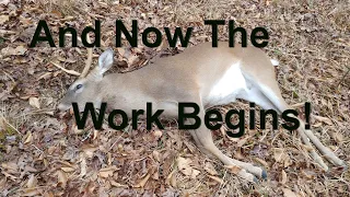 How to Field Dress A Deer Correctly-Easiest Way To Gut A Deer!