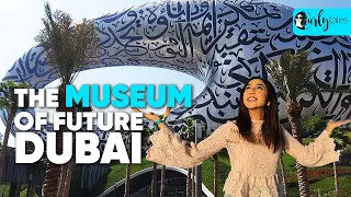 Inside The Museum Of The Future Dubai | Curly Tales UAE