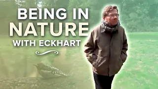 Being in Nature with Eckhart Tolle | 20 Minute Special Teaching