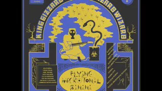 King Gizzard & The Lizard Wizard - Rattlesnake