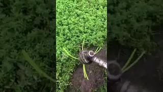 Grass Trimmer Head Demo 2021  Does It Work ||#ConstrucElectric
