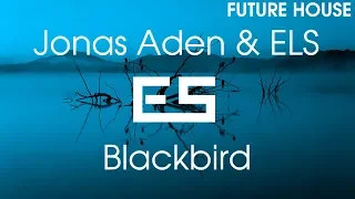 Jonas Aden & ELS - Blackbird [BASS BOOST]