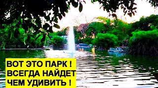 Кирьят-Моцкин.Чудный парк , что творилось там  8 мая