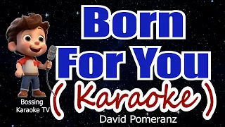 Born for You ( KARAOKE Version ) - David Pomeranz