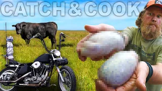 BULL COW TESTICLES Catch And Cook Rocky Mountain Oysters | Day 3 of 7 Motorcycle Camping Maine