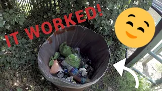 People use my bin!!! ☺️ |  Litter picking ep.73