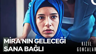 Kız Kardeşi İçin Kendini Feda Eden Bir Zeynep - Kızıl Goncalar